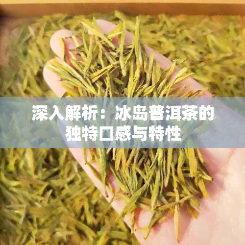 深入解析：冰岛普洱茶的独特口感与特性