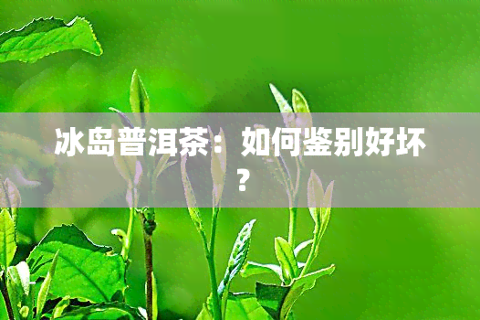 冰岛普洱茶：如何鉴别好坏？