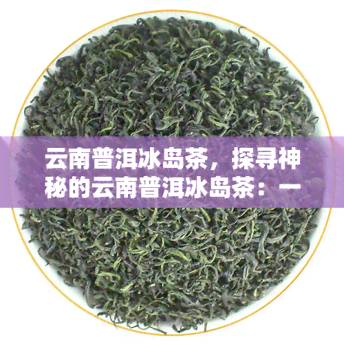 云南普洱冰岛茶，探寻神秘的云南普洱冰岛茶：一种独特而珍贵的茶叶品种