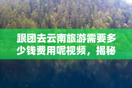 跟团去云南旅游需要多少钱费用呢视频，揭秘云南旅游：跟团游费用全解析！