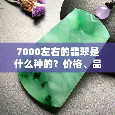 7000左右的翡翠是什么种的？价格、品种全面解析