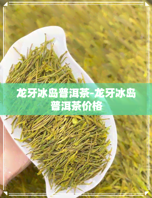 龙牙冰岛普洱茶-龙牙冰岛普洱茶价格