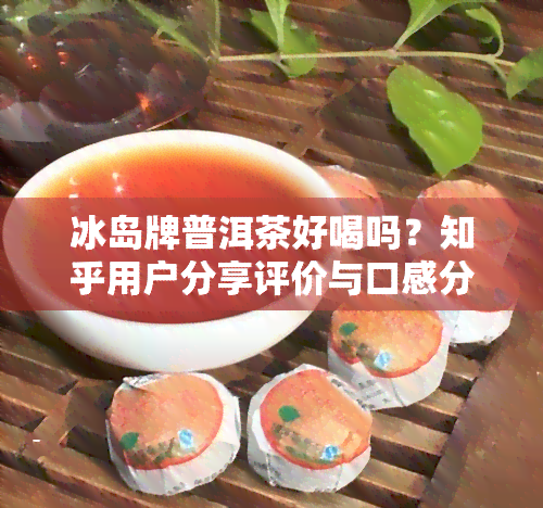 冰岛牌普洱茶好喝吗？知乎用户分享评价与口感分析