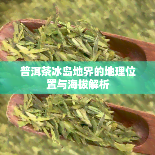 普洱茶冰岛地界的地理位置与海拔解析