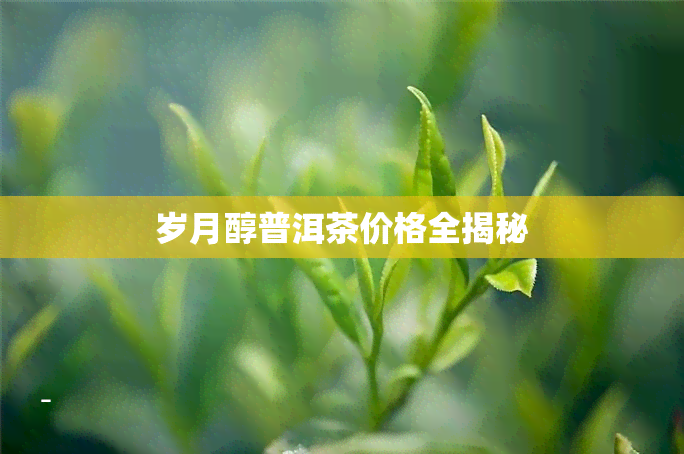 岁月醇普洱茶价格全揭秘