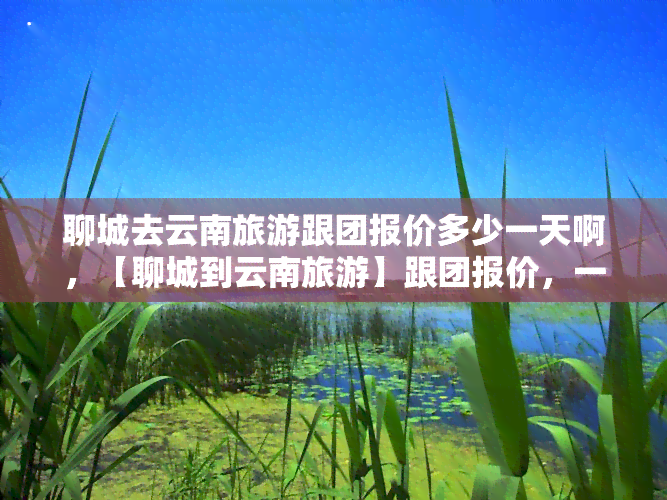 聊城去云南旅游跟团报价多少一天啊，【聊城到云南旅游】跟团报价，一天多少钱？