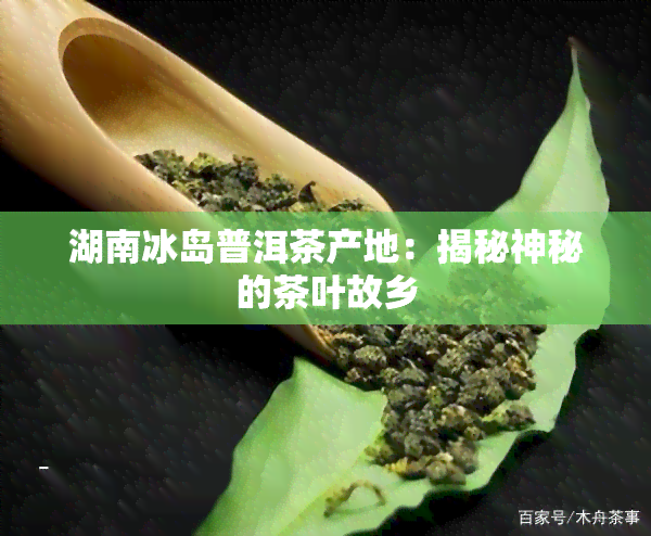 湖南冰岛普洱茶产地：揭秘神秘的茶叶故乡