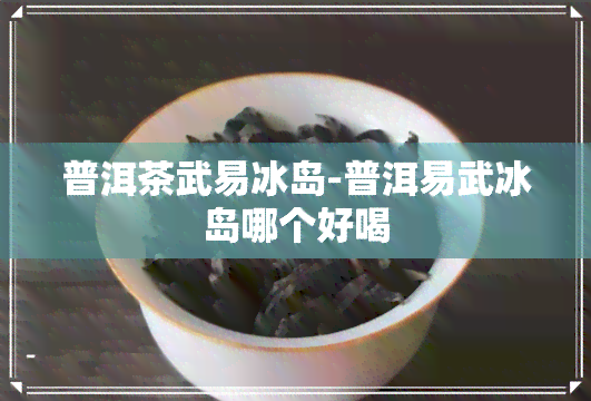 普洱茶武易冰岛-普洱易武冰岛哪个好喝