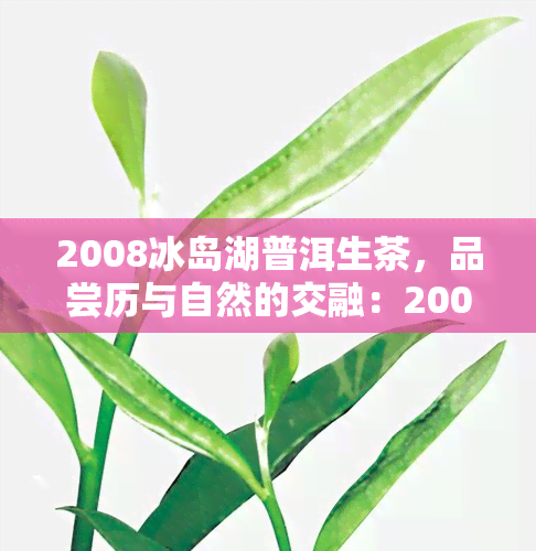 2008冰岛湖普洱生茶，品尝历与自然的交融：2008冰岛湖普洱生茶