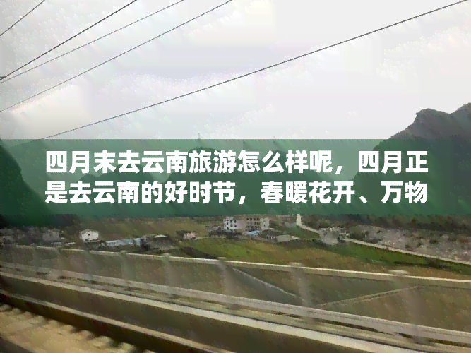 四月末去云南旅游怎么样呢，四月正是去云南的好时节，春暖花开、万物复苏的美景让人陶醉。那么问题来了，你是否已经计划好了四月的旅行目的地？如果还没有，不妨考虑一下美丽的云南吧！无论你是喜欢山水风光，还是喜欢历史文化，亦或是热爱美食美酒，在这里都能找到属于你的乐趣。所以，四月末去云南旅游怎么样呢？让我们一起来探索这个神秘而美丽的地方吧！