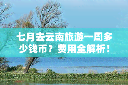 七月去云南旅游一周多少钱币？费用全解析！