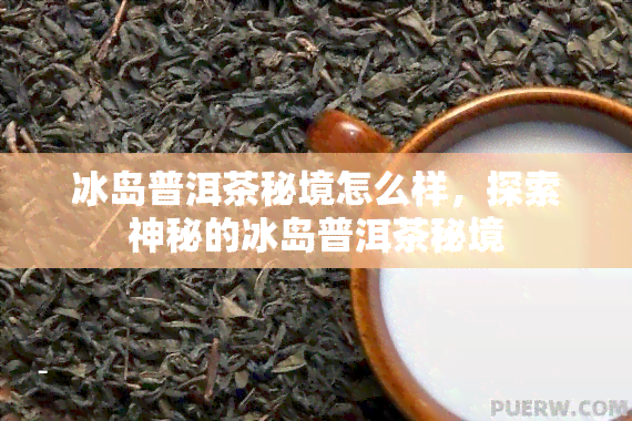 冰岛普洱茶秘境怎么样，探索神秘的冰岛普洱茶秘境