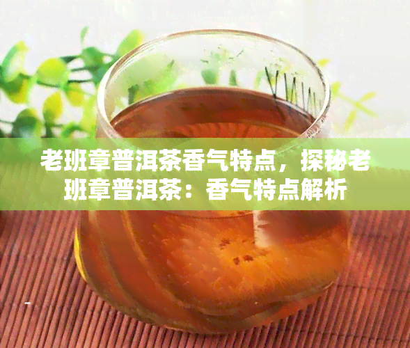 老班章普洱茶香气特点，探秘老班章普洱茶：香气特点解析