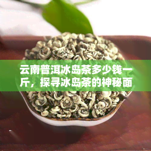 云南普洱冰岛茶多少钱一斤，探寻冰岛茶的神秘面纱：云南普洱冰岛茶价格解析