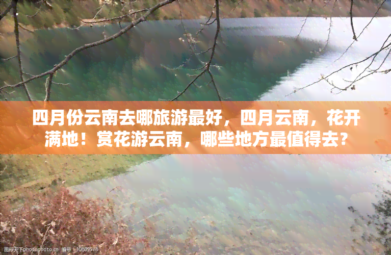 四月份云南去哪旅游更好，四月云南，花开满地！赏花游云南，哪些地方最值得去？