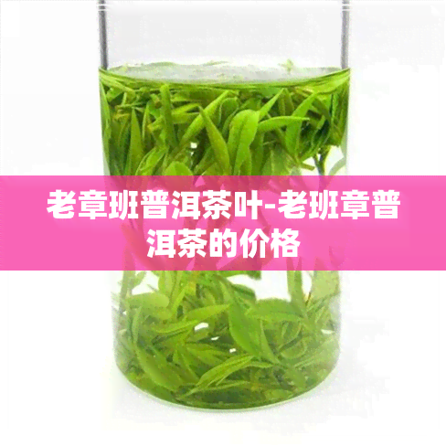 老章班普洱茶叶-老班章普洱茶的价格