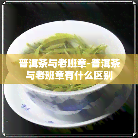 普洱茶与老班章-普洱茶与老班章有什么区别