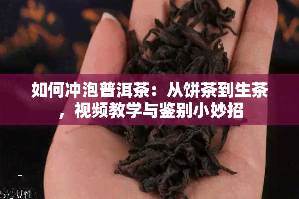 如何冲泡普洱茶：从饼茶到生茶，视频教学与鉴别小妙招