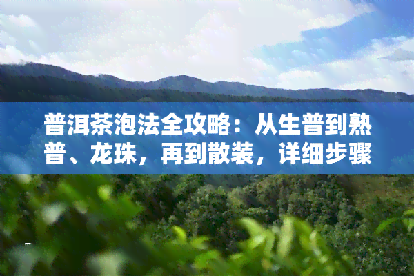 普洱茶泡法全攻略：从生普到熟普、龙珠，再到散装，详细步骤教你如何正确泡出健又美味的普洱茶，同时还能有效降低血脂。