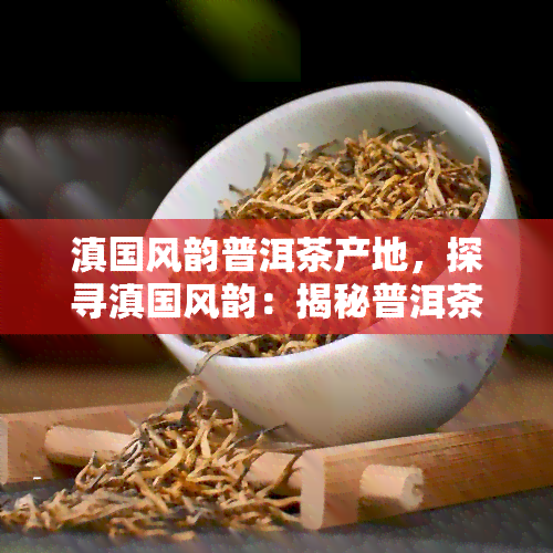 滇国风韵普洱茶产地，探寻滇国风韵：揭秘普洱茶的产地之美