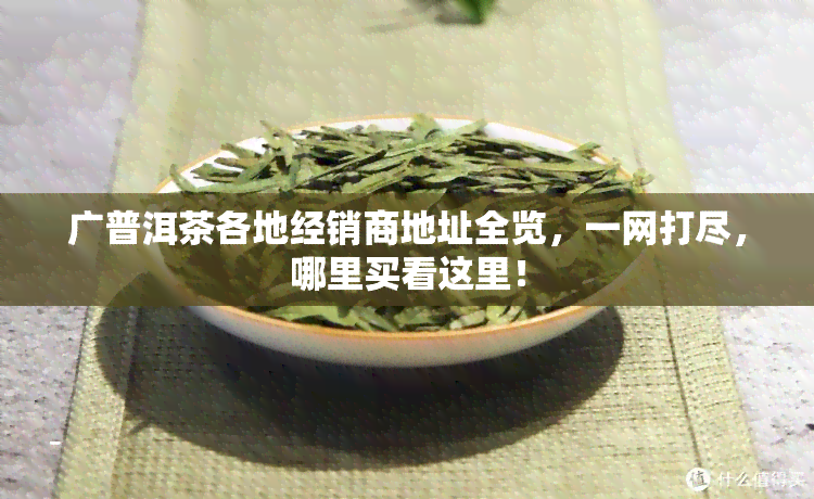 广普洱茶各地经销商地址全览，一网打尽，哪里买看这里！