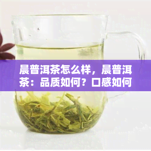 晨普洱茶怎么样，晨普洱茶：品质如何？口感如何？一次全面解析