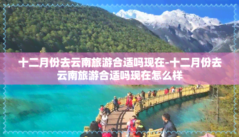 十二月份去云南旅游合适吗现在-十二月份去云南旅游合适吗现在怎么样