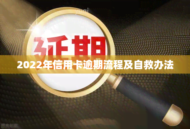 2022年信用卡逾期流程及自救办法