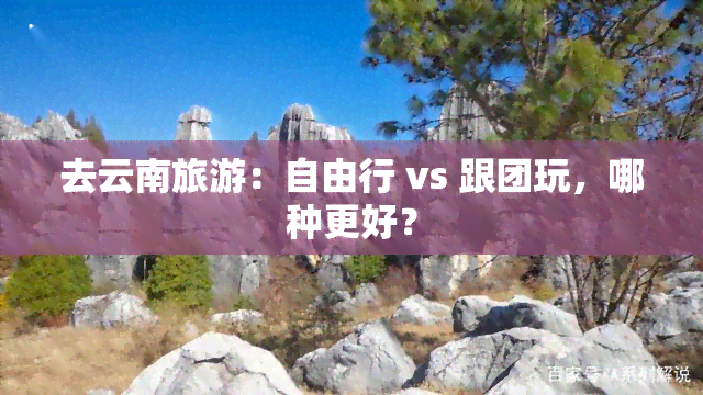 去云南旅游：自由行 vs 跟团玩，哪种更好？