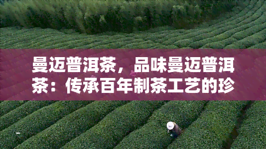 曼迈普洱茶，品味曼迈普洱茶：传承百年制茶工艺的珍品