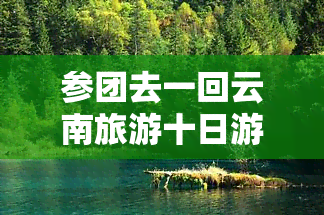 参团去一回云南旅游十日游多少钱，云南旅游十日游：参团费用全揭秘！