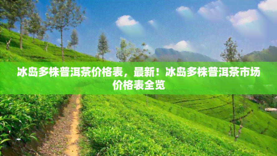 冰岛多株普洱茶价格表，最新！冰岛多株普洱茶市场价格表全览