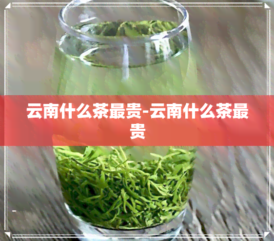 云南什么茶最贵-云南什么茶最贵