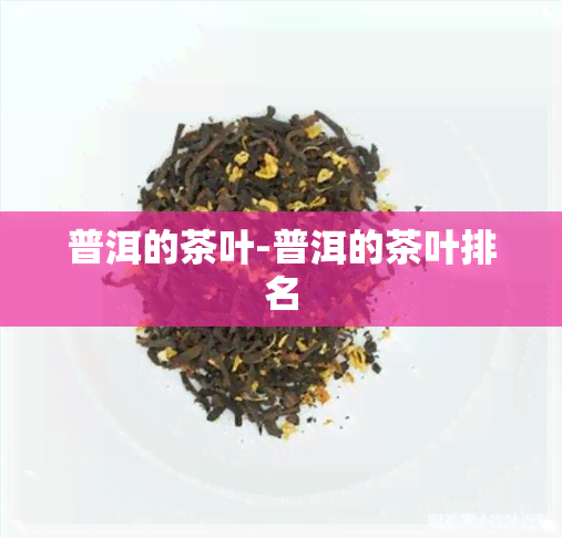 普洱的茶叶-普洱的茶叶排名