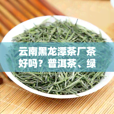 云南黑龙潭茶厂茶好吗？普洱茶、绿茶价格多少？南涧黑龙潭茶值不值得买？