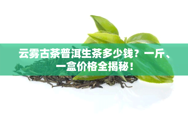 云雾古茶普洱生茶多少钱？一斤、一盒价格全揭秘！