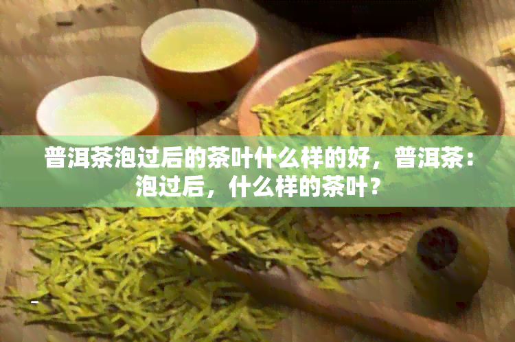 普洱茶泡过后的茶叶什么样的好，普洱茶：泡过后，什么样的茶叶？