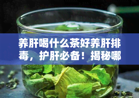 养肝喝什么茶好养肝排，护肝必备！揭秘哪些茶饮有助于养肝排