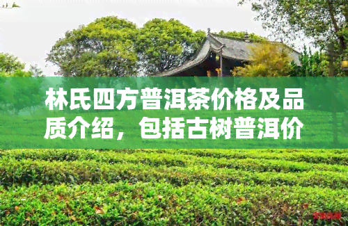 林氏四方普洱茶价格及品质介绍，包括古树普洱价格与茶城评价，同时探讨丽江林氏四方茶叶及其珠宝产品。