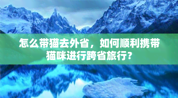 怎么带猫去外省，如何顺利携带猫咪进行跨省旅行？