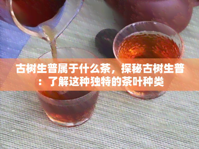 古树生普属于什么茶，探秘古树生普：了解这种独特的茶叶种类