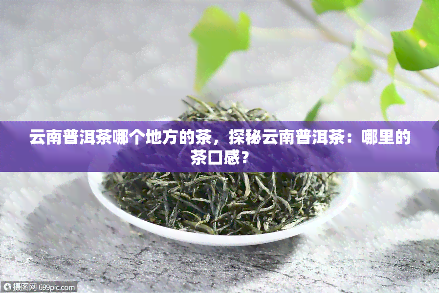 云南普洱茶哪个地方的茶，探秘云南普洱茶：哪里的茶口感？