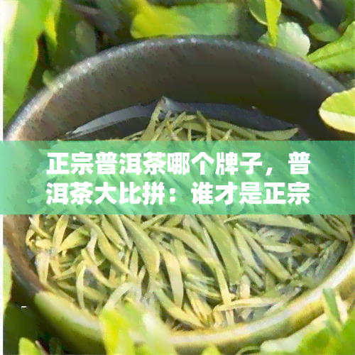 正宗普洱茶哪个牌子，普洱茶大比拼：谁才是正宗之王？