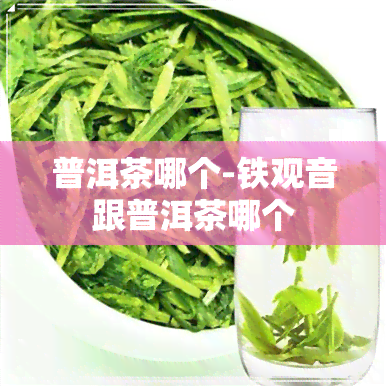 普洱茶哪个-铁观音跟普洱茶哪个