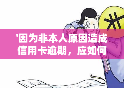 '因为非本人原因造成信用卡逾期，应如何处理？'