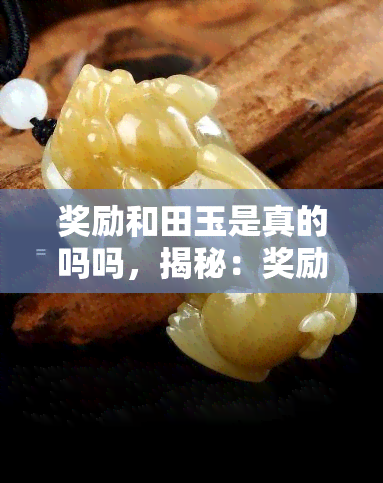 奖励和田玉是真的吗吗，揭秘：奖励的和田玉是否真实可靠？