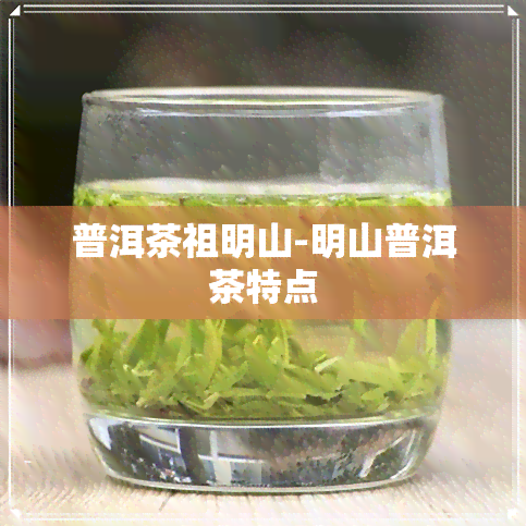 普洱茶祖明山-明山普洱茶特点