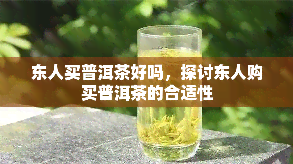 东人买普洱茶好吗，探讨东人购买普洱茶的合适性