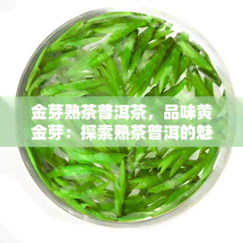 金芽熟茶普洱茶，品味黄金芽：探索熟茶普洱的魅力