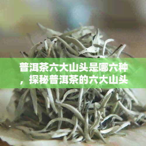 普洱茶六大山头是哪六种，探秘普洱茶的六大山头：你了解多少？